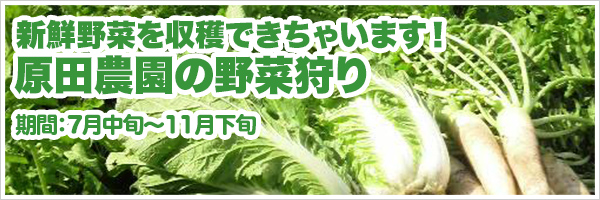 野菜狩り