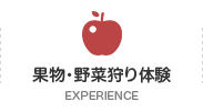 果物・野菜狩り体験 EXPERIENCE