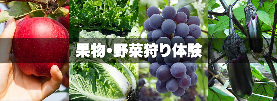 果物・野菜狩り体験