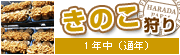 Τ꣱ǯ(ǯ)