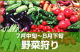 野菜狩り